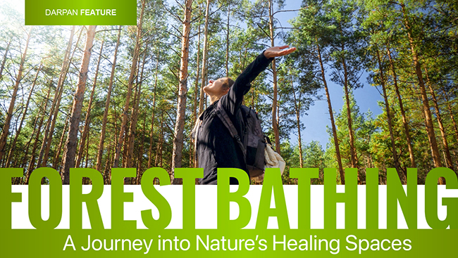 Forest Bathing: A Journey into Nature’s Healing Spaces  